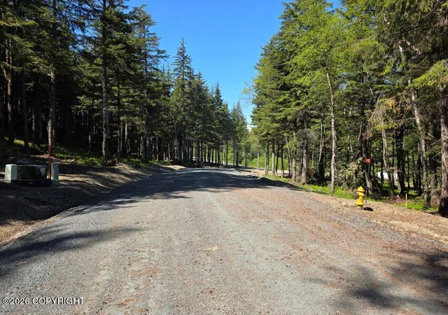 Photo 3 of Land for sale at Lot 6 Hl Side Loop, Haines, AK 99827 | MLS# 26-12145 | Listing updated on 2026-09-21
