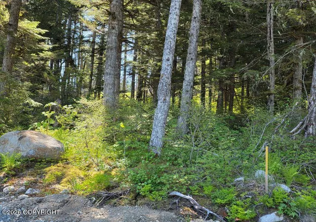 Photo 2 of Land for sale at Lot 8 Hl Side Loop, Haines, AK 99827 | MLS# 26-12148 | Listing updated on 2026-09-21