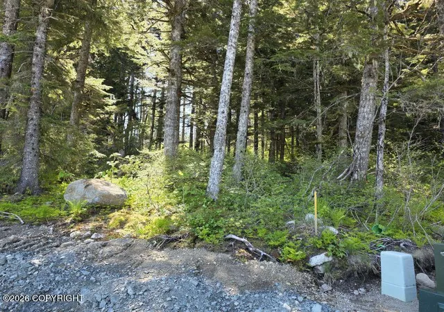 Photo 3 of Land for sale at Lot 8 Hl Side Loop, Haines, AK 99827 | MLS# 26-12148 | Listing updated on 2026-09-21