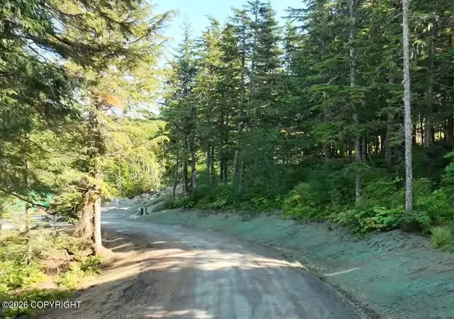 Photo 1 of Land for sale at Lot 9 Hl Side Loop, Haines, AK 99827 | MLS# 26-12149 | Listing updated on 2026-09-21