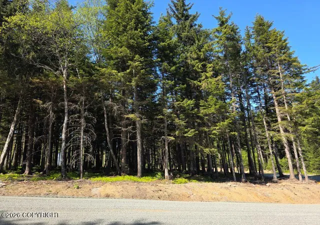 Photo 2 of Land for sale at Lot 24 Major Rd, Haines, AK 99827 | MLS# 26-12151 | Listing updated on 2026-09-21