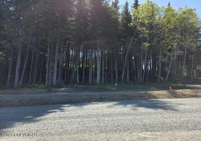 Photo 3 of Land for sale at Lot 24 Major Rd, Haines, AK 99827 | MLS# 26-12151 | Listing updated on 2026-09-21