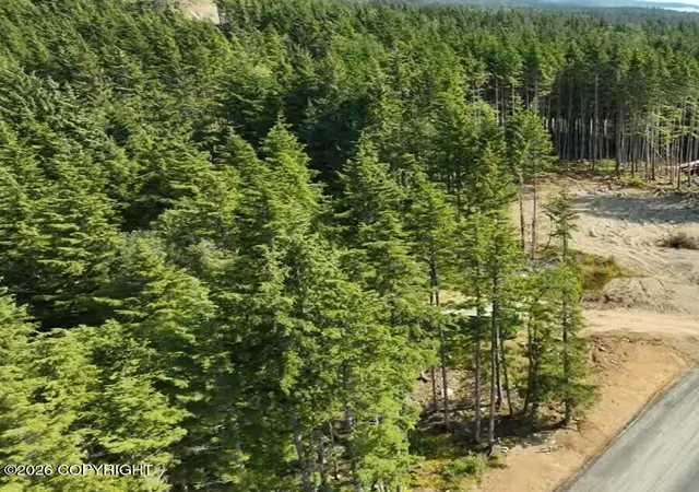 Photo 3 of Land for sale at Lot 52 Cordes Dr, Haines, AK 99827 | MLS# 26-12159 | Listing updated on 2026-09-21