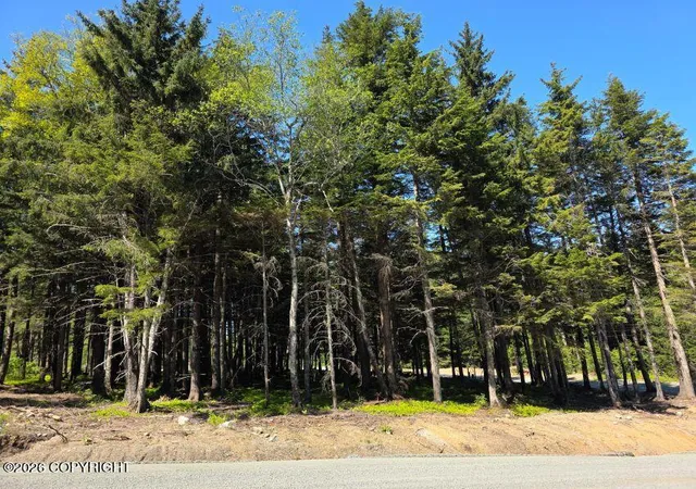Photo 1 of Land for sale at Lot 25 Martin Ave, Haines, AK 99827 | MLS# 26-12170 | Listing updated on 2026-09-21