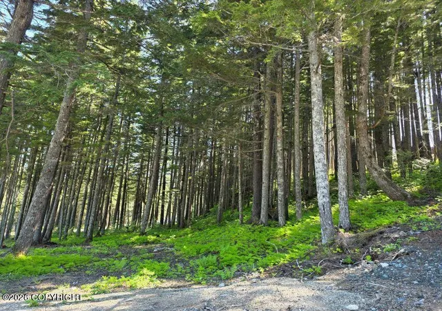 Photo 2 of Land for sale at Lot 25 Martin Ave, Haines, AK 99827 | MLS# 26-12170 | Listing updated on 2026-09-21