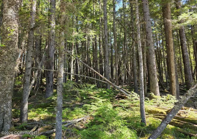 Photo 3 of Land for sale at Lot 35 Martin Ave, Haines, AK 99827 | MLS# 26-12179 | Listing updated on 2026-09-21