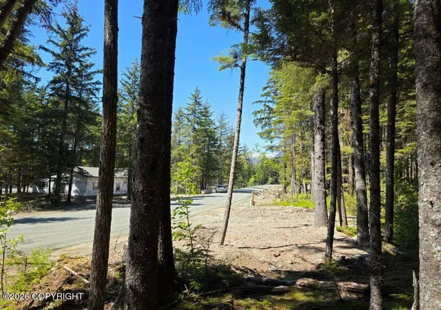 Photo 3 of Land for sale at Lot 36 Martin Ave, Haines, AK 99827 | MLS# 26-12180 | Listing updated on 2026-09-21