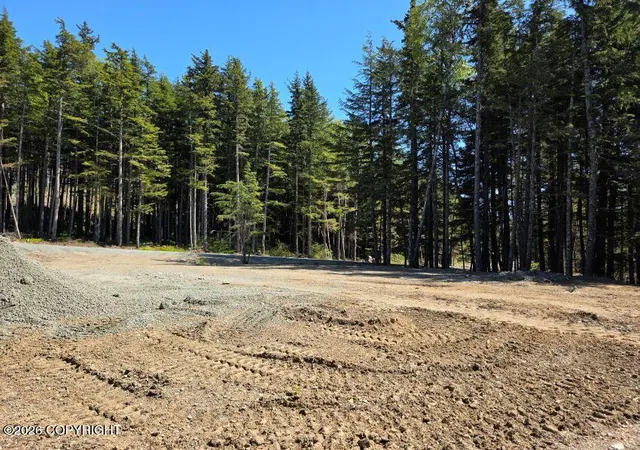 Photo 2 of Land for sale at Lot 40 Martin Ave, Haines, AK 99827 | MLS# 26-12184 | Listing updated on 2026-09-21