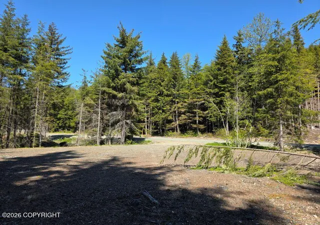 Photo 1 of Land for sale at Lot 41 Martin Ave, Haines, AK 99827 | MLS# 26-12187 | Listing updated on 2026-09-22