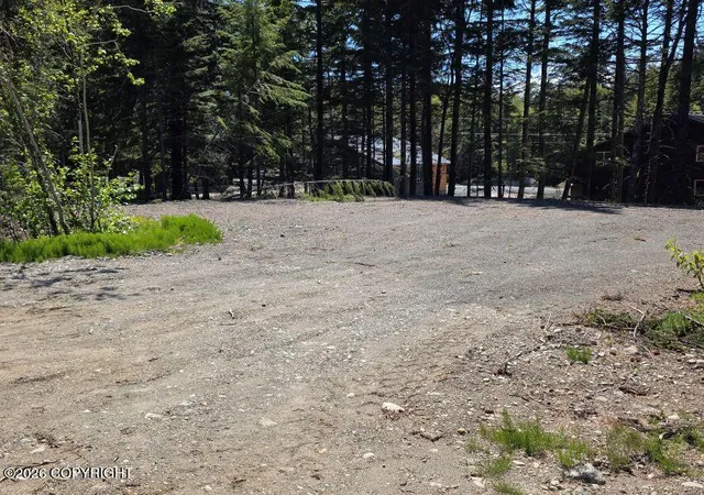 Photo 3 of Land for sale at Lot 41 Martin Ave, Haines, AK 99827 | MLS# 26-12187 | Listing updated on 2026-09-22