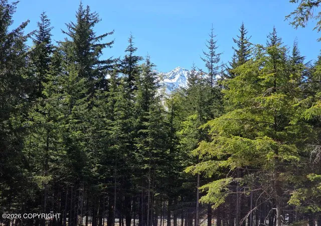 Photo 3 of Land for sale at Lot 43 Martin Ave, Haines, AK 99827 | MLS# 26-12190 | Listing updated on 2026-09-22