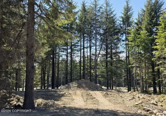 Photo 2 of Land for sale at Lot 44 Martin Ave, Haines, AK 99827 | MLS# 26-12191 | Listing updated on 2026-09-22