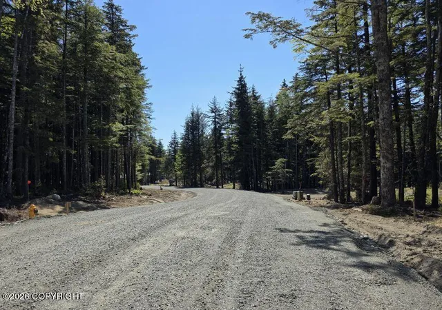 Photo 3 of Land for sale at Lot 46 Martin Ave, Haines, AK 99827 | MLS# 26-12196 | Listing updated on 2026-09-22