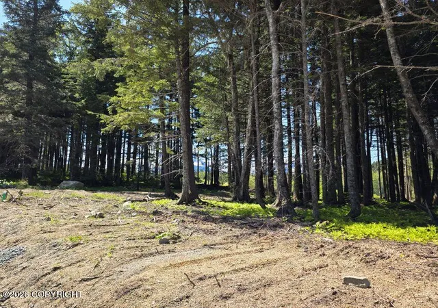Photo 2 of Land for sale at Lot 48 Martin Ave, Haines, AK 99827 | MLS# 26-12204 | Listing updated on 2026-09-22