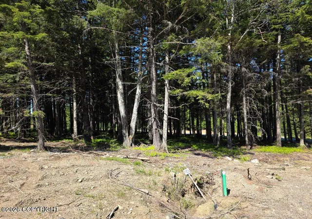 Photo 3 of Land for sale at Lot 48 Martin Ave, Haines, AK 99827 | MLS# 26-12204 | Listing updated on 2026-09-22