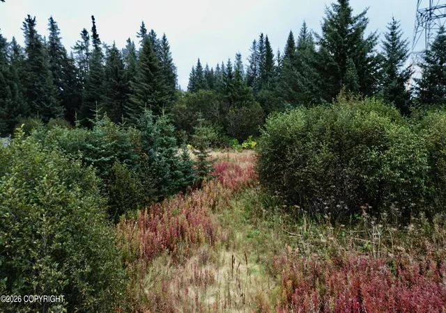 Photo 1 of Sale Pending at 26940 Sterling Hwy, Anchor Point, AK 99556 | MLS# 26-12227 | Listing updated on 2026-10-03