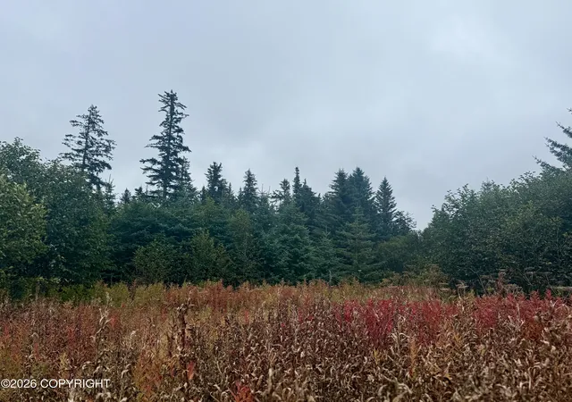 Photo 2 of Sale Pending at 26940 Sterling Hwy, Anchor Point, AK 99556 | MLS# 26-12227 | Listing updated on 2026-10-03
