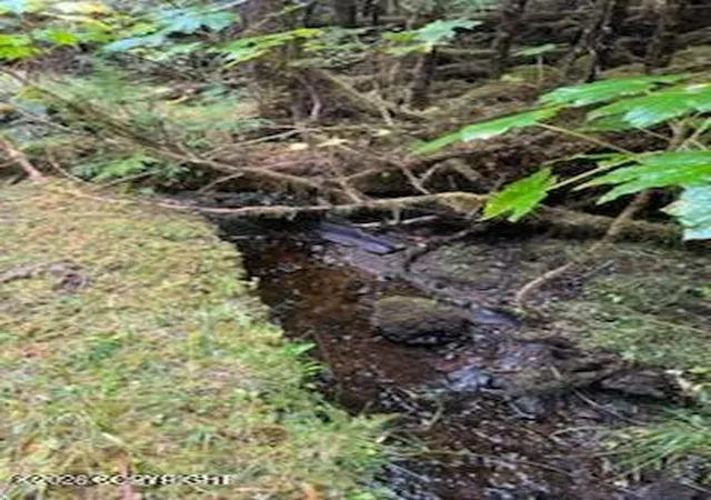 Photo 2 of Land for sale at Lot 5 Steep Rd, Thorne Bay, AK 99919 | MLS# 26-12305 | Listing updated on 2026-09-27