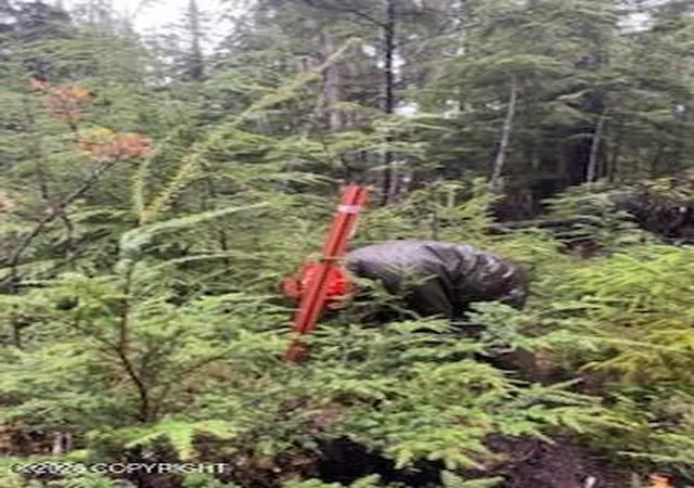 Photo 3 of Land for sale at Lot 5 Steep Rd, Thorne Bay, AK 99919 | MLS# 26-12305 | Listing updated on 2026-09-27
