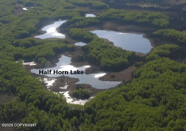 Photo 4 of Land for sale at Tr C Josh Lake, Skwentna, AK 99000 | MLS# 26-12311 | Listing updated on 2026-09-24