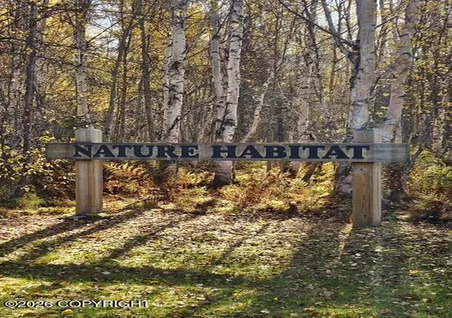 Photo 2 of Land for sale at 49543 S Roosevelt Rd, Willow, AK 99688 | MLS# 26-12377 | Listing updated on 2026-09-28