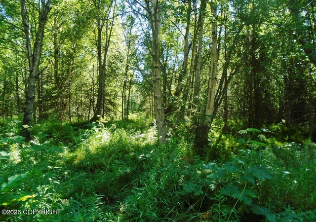 Photo 2 of Sale Pending at Lot 3 Our Own Ln, Anchorage, AK 99516 | MLS# 26-12458 | Listing updated on 2026-10-17