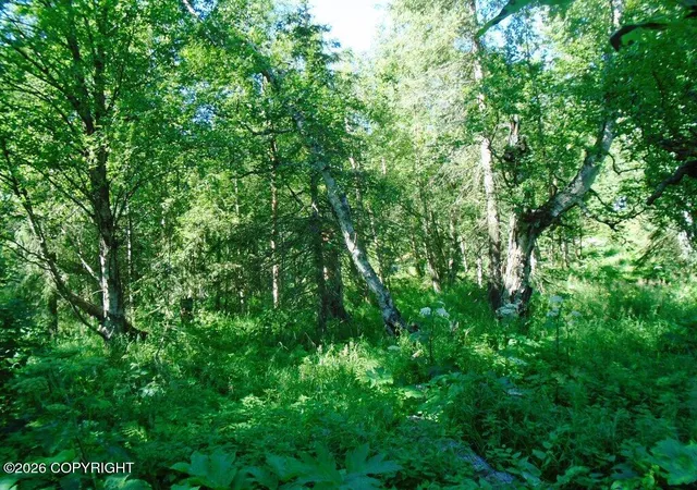 Photo 3 of Sale Pending at Lot 3 Our Own Ln, Anchorage, AK 99516 | MLS# 26-12458 | Listing updated on 2026-10-17