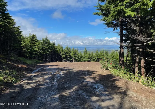 Land for sale at L1 Paine Cir, Anchorage, AK 99516 | MLS# 26-12482