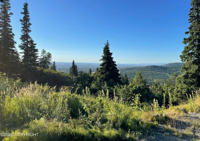 Photo 3 of Land for sale at L1 Paine Cir, Anchorage, AK 99516 | MLS# 26-12482 | Listing updated on 2026-09-28