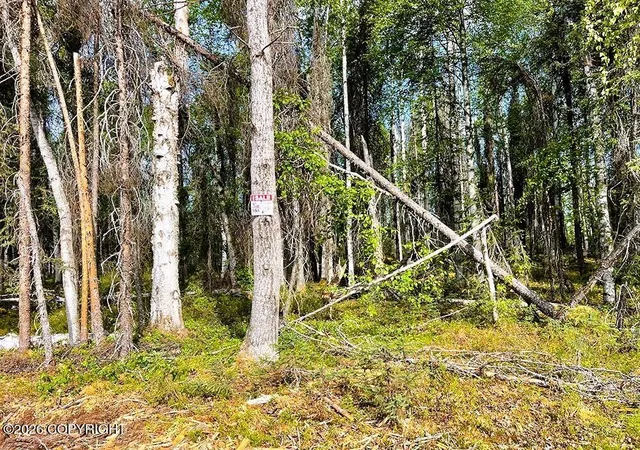 Photo 2 of Land for sale at 19525 E Sky Wagon Cir, Willow, AK 99688 | MLS# 26-12498 | Listing updated on 2026-09-29