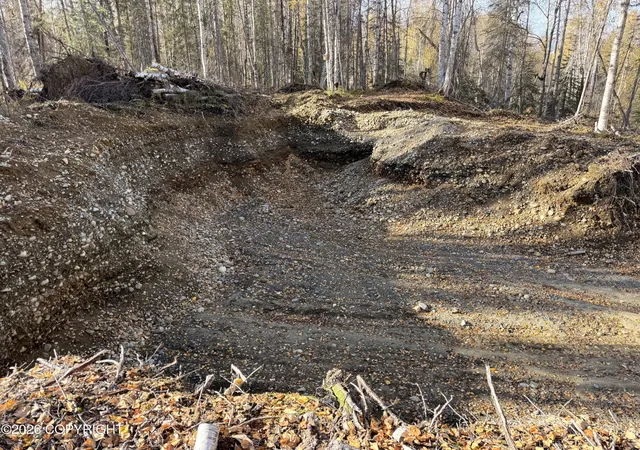Land for sale at 17734 E Anaconda Ave, Talkeetna, AK 99676 | MLS# 26-12516