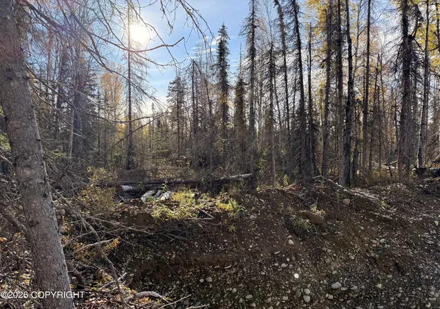 Photo 3 of Land for sale at 17734 E Anaconda Ave, Talkeetna, AK 99676 | MLS# 26-12516 | Listing updated on 2026-09-29