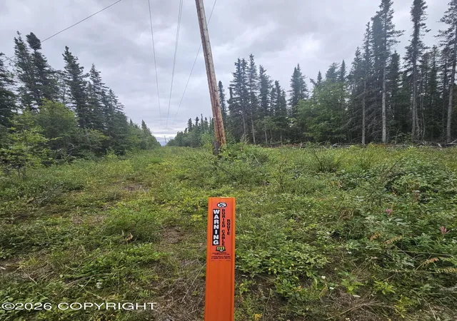 Photo 1 of Land for sale at L2 B2 Trapline Dr, Copper Center, AK 99573 | MLS# 26-12510 | Listing updated on 2026-09-29