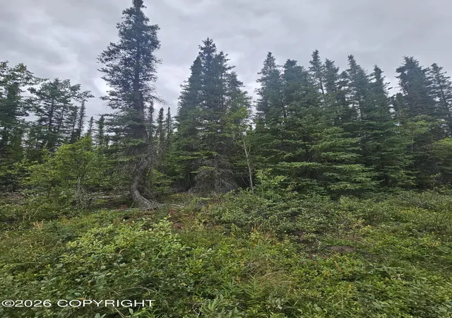 Photo 2 of Land for sale at L2 B2 Trapline Dr, Copper Center, AK 99573 | MLS# 26-12510 | Listing updated on 2026-09-29