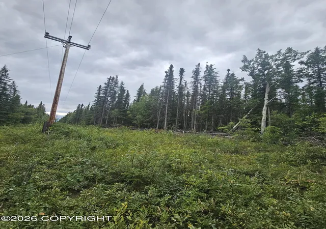 Photo 3 of Land for sale at L2 B2 Trapline Dr, Copper Center, AK 99573 | MLS# 26-12510 | Listing updated on 2026-09-29