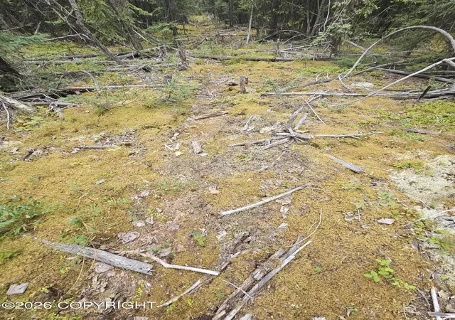 Photo 3 of Land for sale at L2 B2 Trapline Dr, Copper Center, AK 99573 | MLS# 26-12510 | Listing updated on 2026-09-29