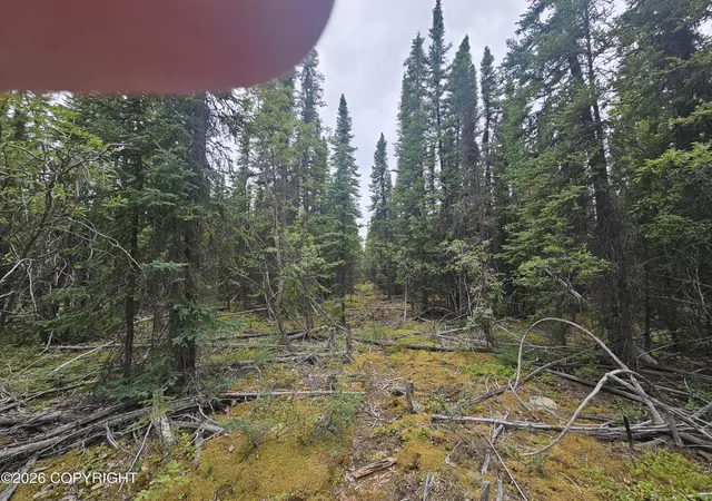 Photo 4 of Land for sale at L2 B2 Trapline Dr, Copper Center, AK 99573 | MLS# 26-12510 | Listing updated on 2026-09-29