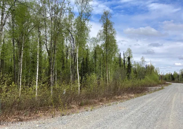 Photo 2 of Land for sale at 47138 S Merlin Dr, Willow, AK 99688 | MLS# 26-12622 | Listing updated on 2026-10-04