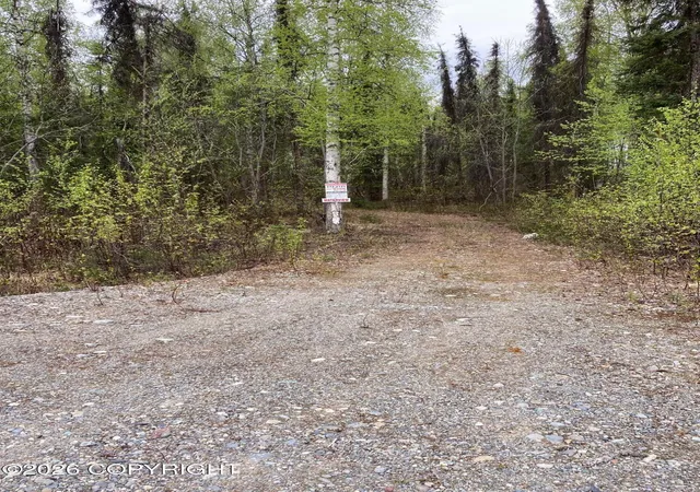 Photo 3 of Land for sale at 47138 S Merlin Dr, Willow, AK 99688 | MLS# 26-12622 | Listing updated on 2026-10-04