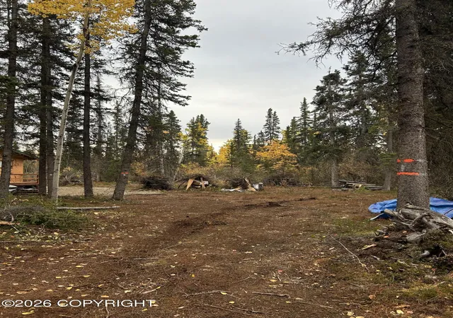 Photo 3 of Land for sale at 000 Mi 81 Richardson Hwy, Copper Center, AK 99573 | MLS# 26-12590 | Listing updated on 2026-10-01