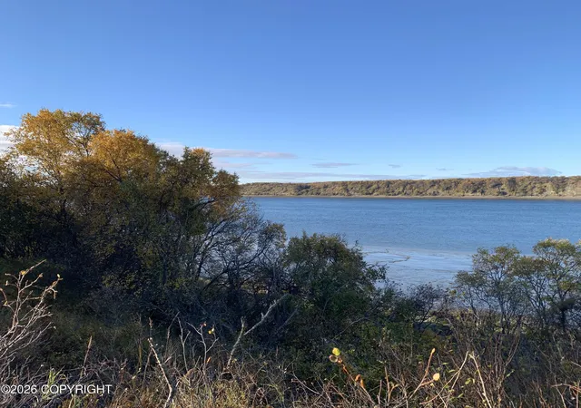 Photo 2 of Land for sale at L11 B11 Caribou Cir, Naknek, AK 99633 | MLS# 26-12681 | Listing updated on 2026-10-06