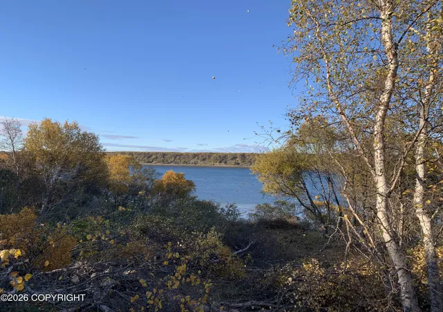 Photo 3 of Land for sale at L11 B11 Caribou Cir, Naknek, AK 99633 | MLS# 26-12681 | Listing updated on 2026-10-06