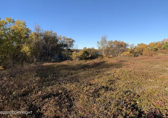 Photo 3 of Land for sale at L11 B11 Caribou Cir, Naknek, AK 99633 | MLS# 26-12681 | Listing updated on 2026-10-06