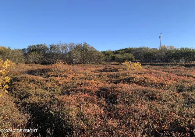 Photo 4 of Land for sale at L11 B11 Caribou Cir, Naknek, AK 99633 | MLS# 26-12681 | Listing updated on 2026-10-06