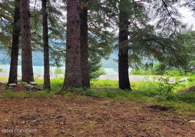 Photo 3 of Land for sale at 4153 Lutak Rd, Haines, AK 99827 | MLS# 26-12627 | Listing updated on 2026-10-01
