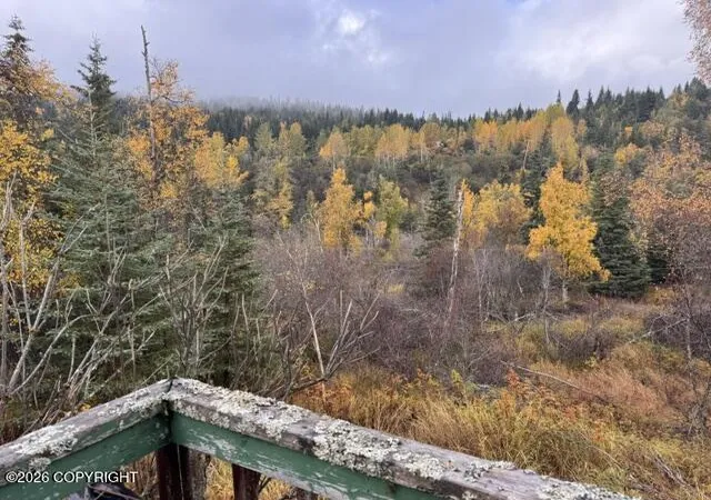 Photo 3 of Single family home for sale at 38740 Mushroom St, Homer, AK 99603 | MLS# 26-12983 | Listing updated on 2026-10-13