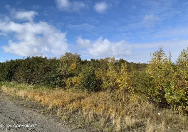 Photo 3 of Land for sale at L1 Alaska Peninsula Hwy, Naknek, AK 99633 | MLS# 26-12741 | Listing updated on 2026-10-05
