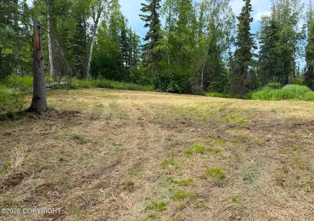 Photo 3 of Land for sale at 40212 Arrowhead Ave, Soldotna, AK 99669 | MLS# 26-12832 | Listing updated on 2026-10-15