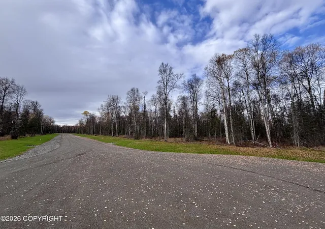 Photo 3 of Land for sale at 14567 E Sculpin St, Talkeetna, AK 99676 | MLS# 26-12831 | Listing updated on 2026-10-07