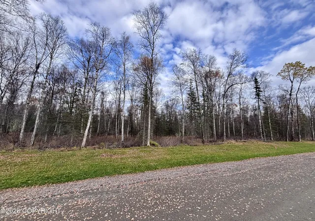 Land for sale at 14597 E Sculpin St, Talkeetna, AK 99676 | MLS# 26-12830